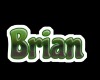 Brian Stocking