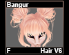 Bangur Hair F V6