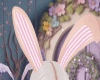 MxU-Bunny Ears