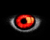 reg orange very nice eye