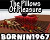 The Pillows Of Pleasure