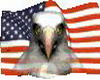 Animated USA Eagle