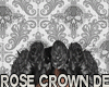 Jm Rose Crown Derivable