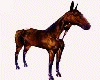 ® HORSE FOR THE WAGON