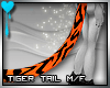 (E)Tiger Tail: Orange