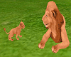 Lion & Baby Lion