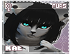 Gray Wolf - Hair Marcia