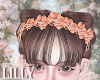 candy flora acc orange
