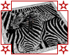(W) Zebra Print Rug