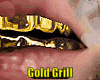 Gold Grill