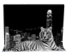 City Tiger Backdrop