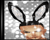 24K. Sexy Bunny Ears