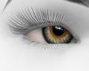 2 tone honey gray