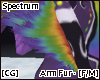 [CG] Spectrum Arm Fur