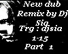 New dub Remix by Sia P#1