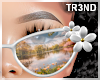 áµ Daisy Sunglasses