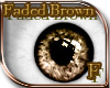 (E) Faded Brown 1