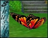 ".Flying Butterfly."Amaz