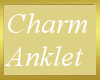 Charm Anklet