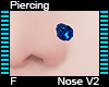 Nose Piercing F V2
