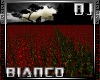 Red Nature DJ LIGHT
