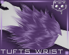 TuftsW Purple 3b Ⓚ