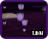 [LDM]Linternas Purpura