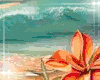 Add On  Waves