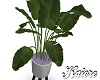 PP Potted Plant