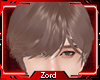 Hair brown 01 EX!
