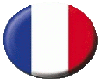 french flag button