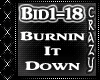 JasonAldean-BurninItDown