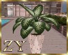ZY: Home Plants 2