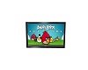 REAL ANGRY BIRDS GAME