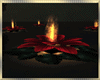 Romantic Lake Fire Lily