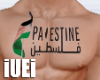 iUEi-PalestineTattoo