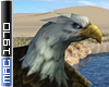 Desert Oasis Eagle