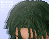 Fresh Dreads Green