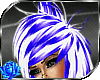 [Cancey] Blue/White