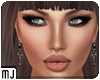 Contour Salvattory