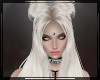 + Mashia Nordic
