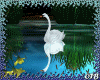 White Swan Animated