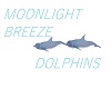 MoonlightBreeze Dolphins
