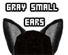 [B] Gray Small Ears