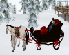 (SR) CHIRSTMAS Carriage