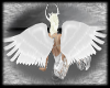 Feathered White Wings