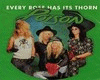 Every Rose Has Its Thorn