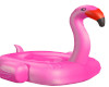 ** Bella Pink Flamingo