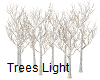 Trees Light