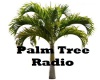 Palm Tree Radio